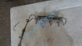 tryska na motora na suzuki jimny 1,3i 16V, 297500-0120